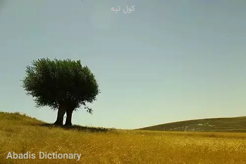 کول تپه